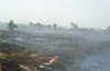 Fire spreads over 300 acres in Muloor